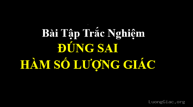 13 bài tập trắc nghiệm đúng sai hàm số lượng giác